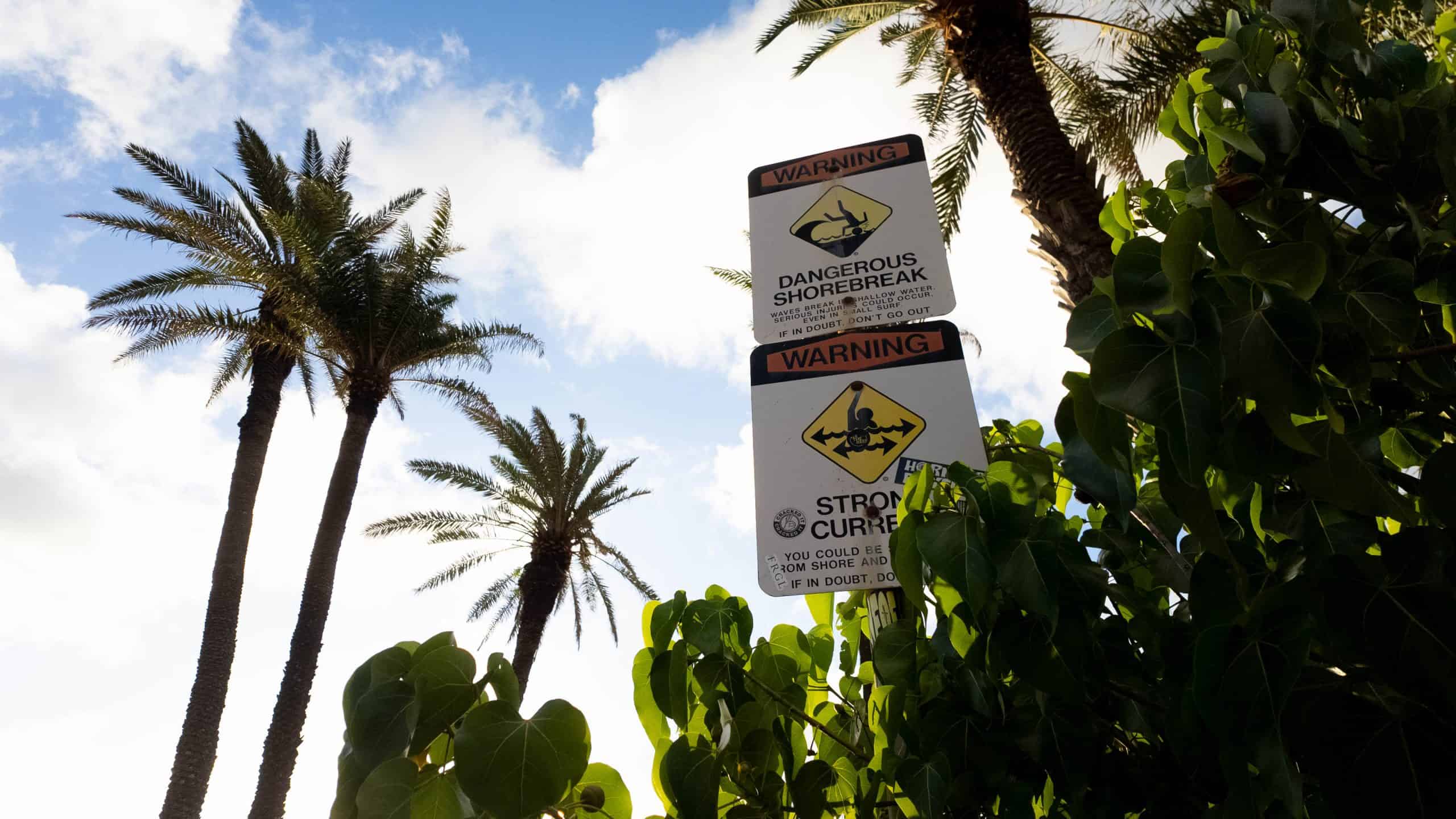 Dangerous shore break and rip tide warning signs surrounded by palm trees and tropical plants.