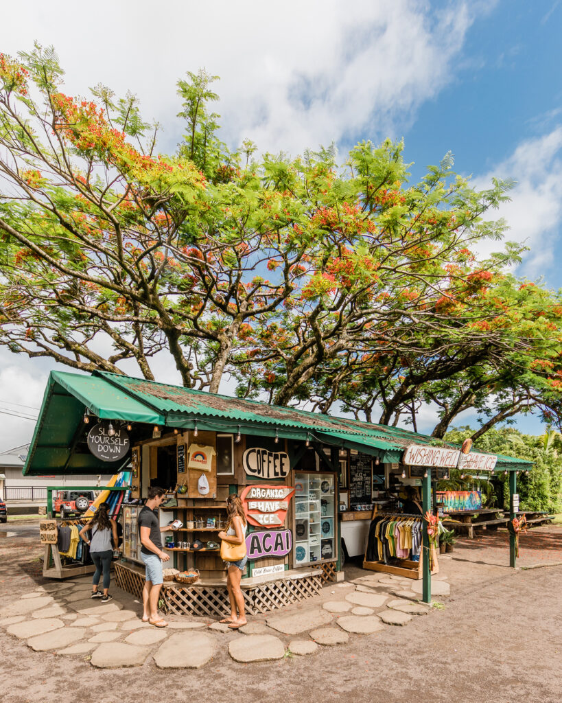 A street food stand that says wishing well shave ice