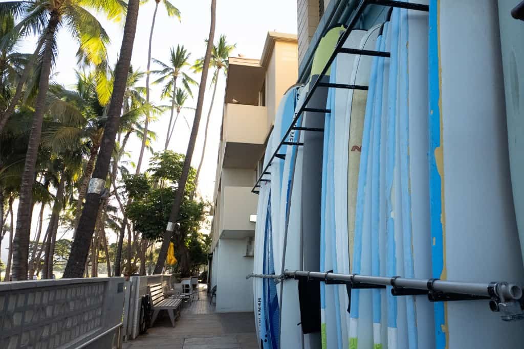 Surfboards leaning against a wall near an alley with palm trees