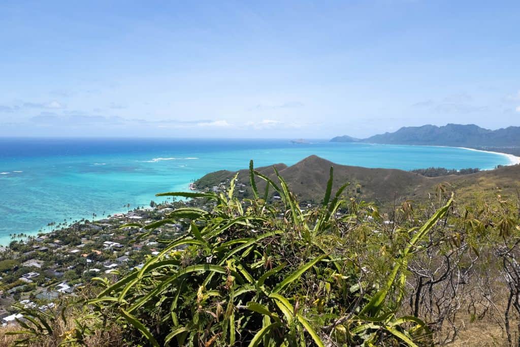 A view from the Lanikai Pillbox Trail, looking towards Waimanalo Beach on a clear day with the turquoise ocean in the background.