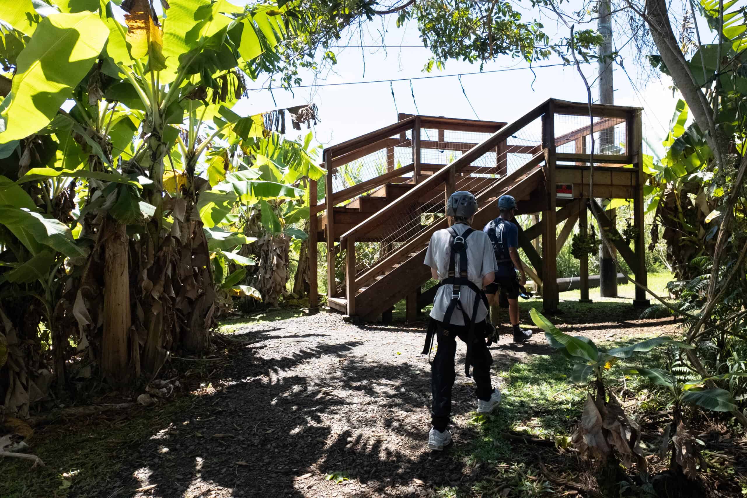 A boy in a helmet walking up to a zipline platform