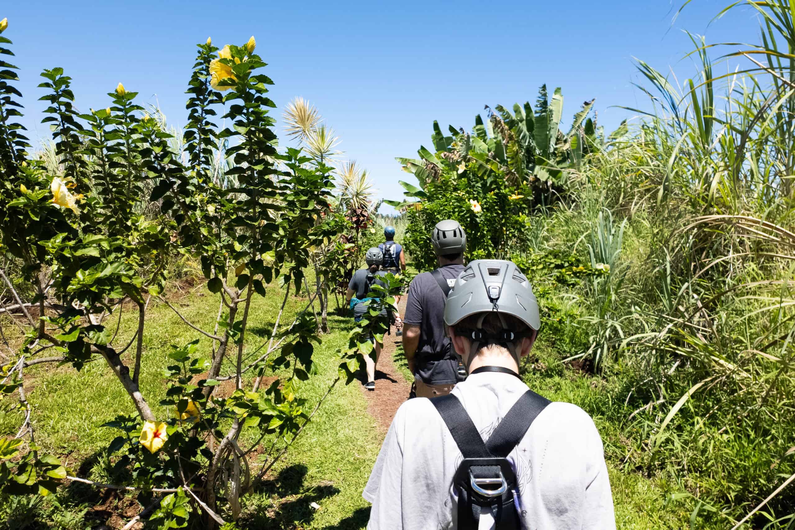 A line of people walking through tropical plants wearing helmets