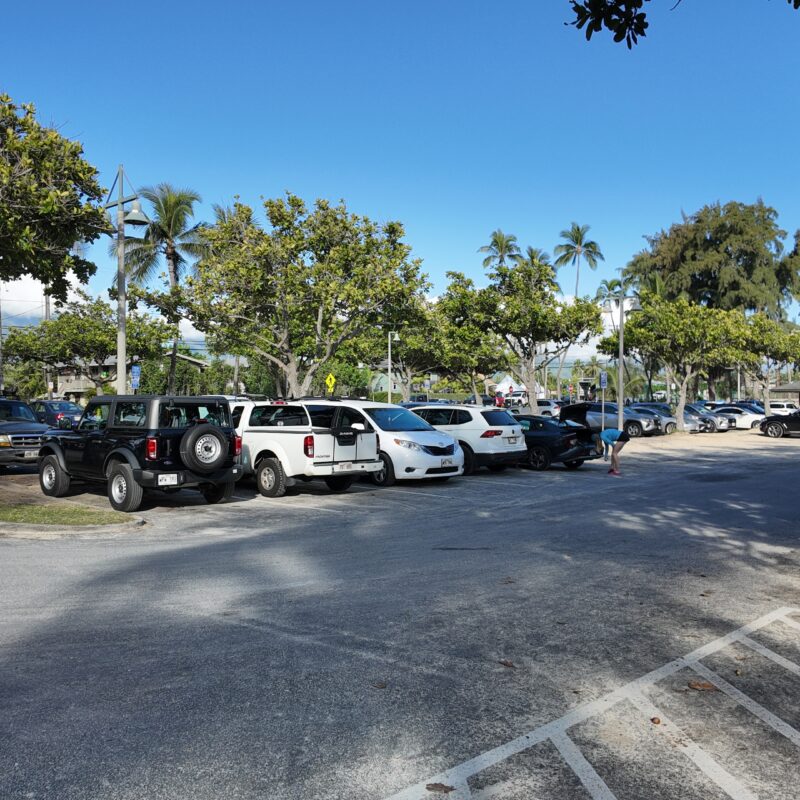 A parking lot with a row of cars and trees in the background