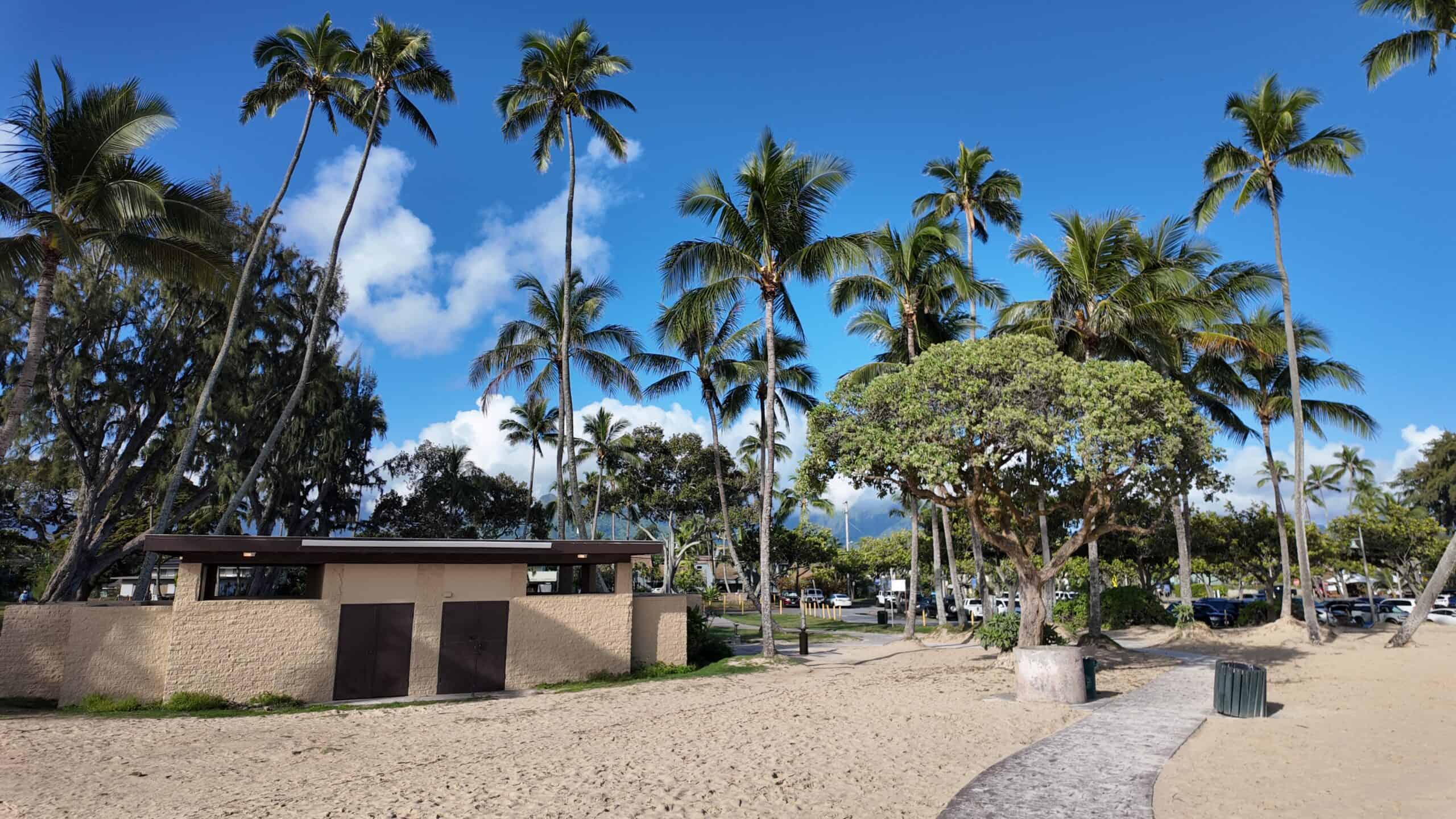 A beach bathroom with palm trees surrounding it