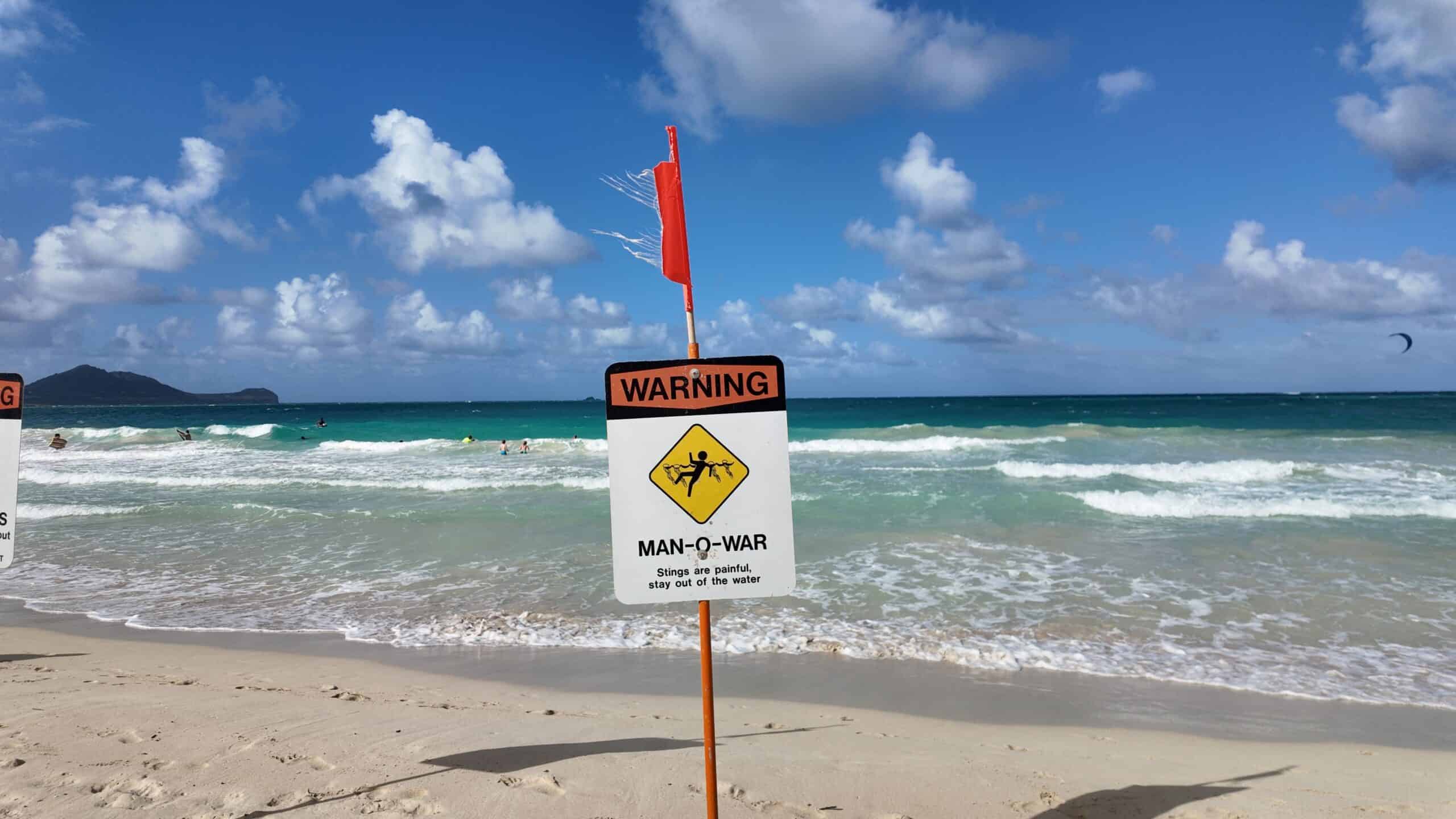 A beach warning sign that says "Mao-O-War" stay out of the water at Kailua Beach with people swimming behind it