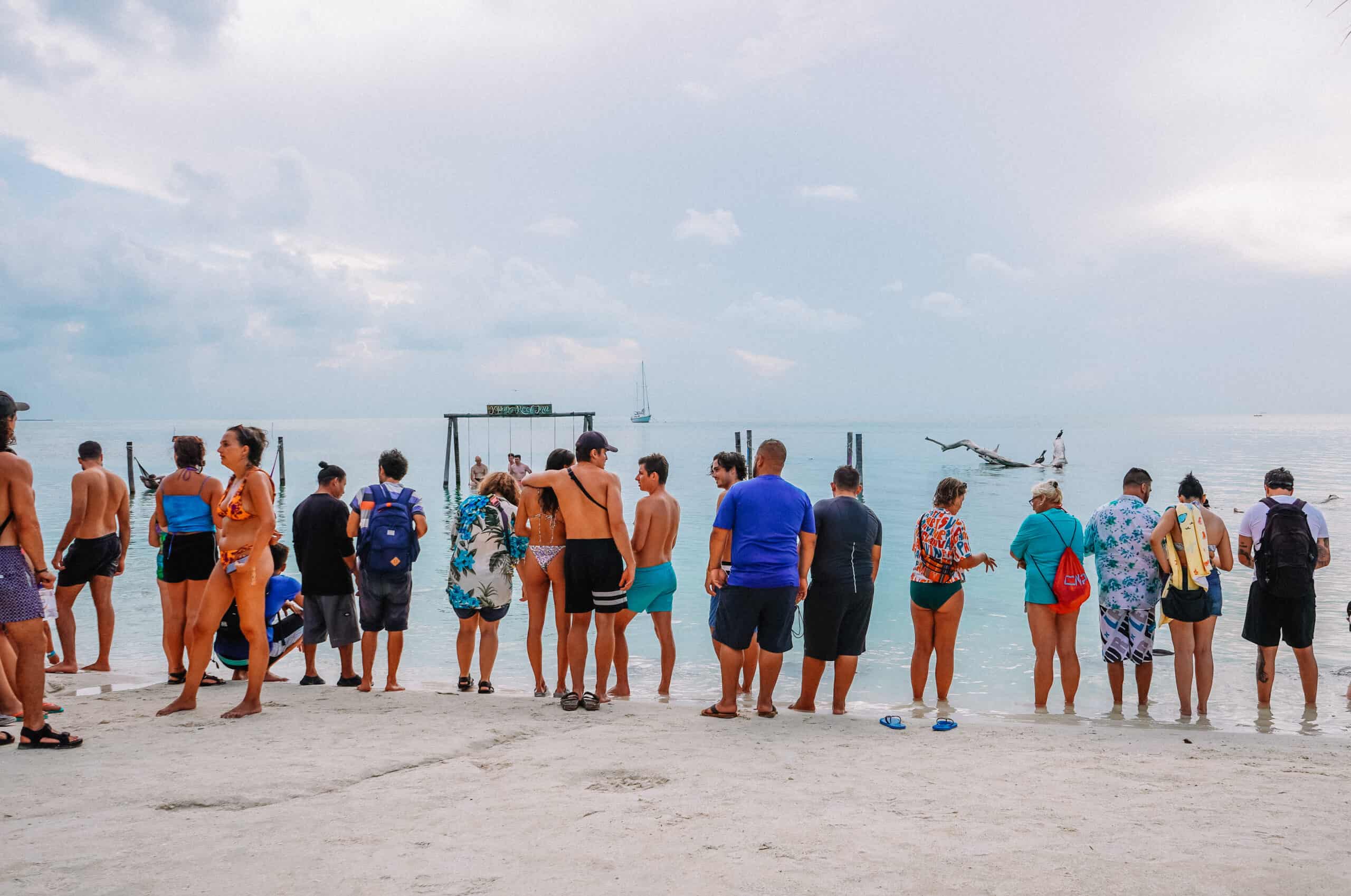 A row of swimmers lined up against the edge of a calm ocean, with an ocean swing in the background