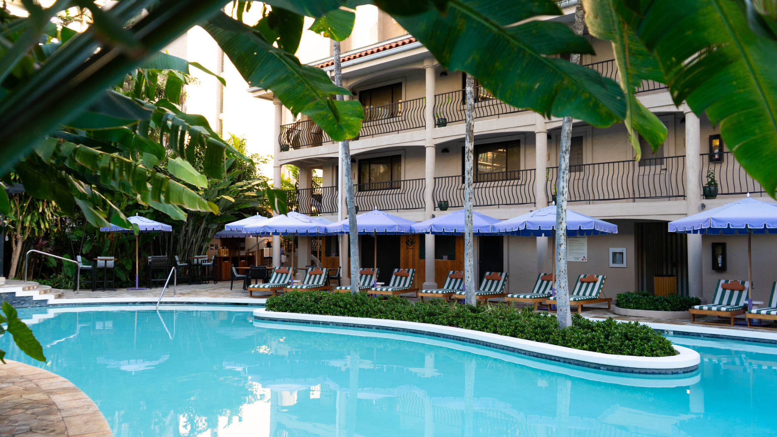 A blue pool with tropical foliage, a white building and green and white striped chairs with purple umbrellas