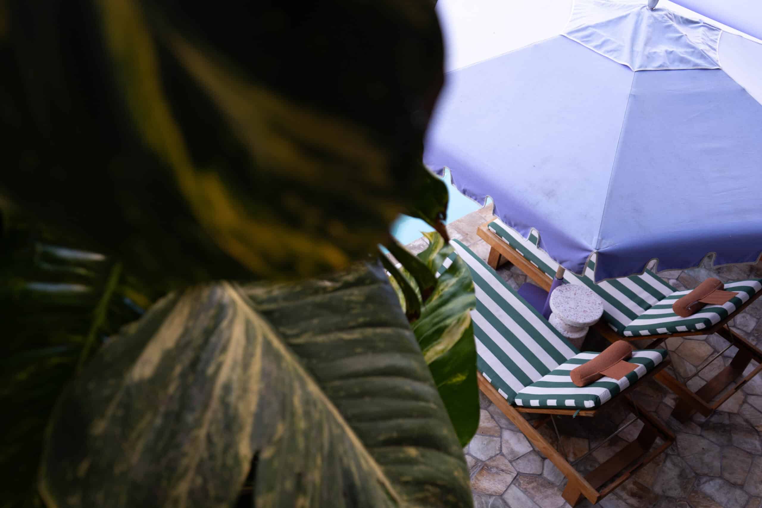 Green leaves looking down at a green and white striped outdoor lounge chair and purple umbrella