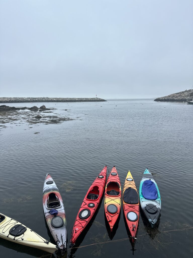 colorful-kayaks-on-dark-water-with-gray-sky-in-rockport