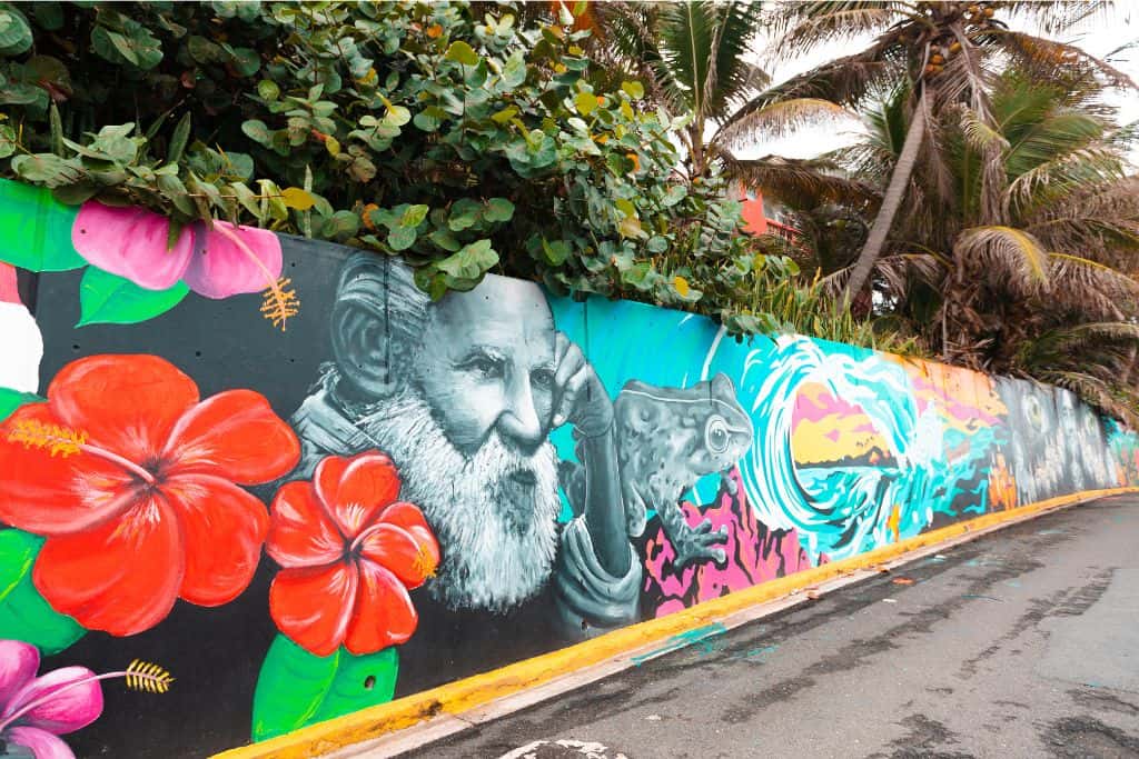 A colorful painted art mural with flowers, an old man, a frog and a wave against a street with tropical plants overhanging it.